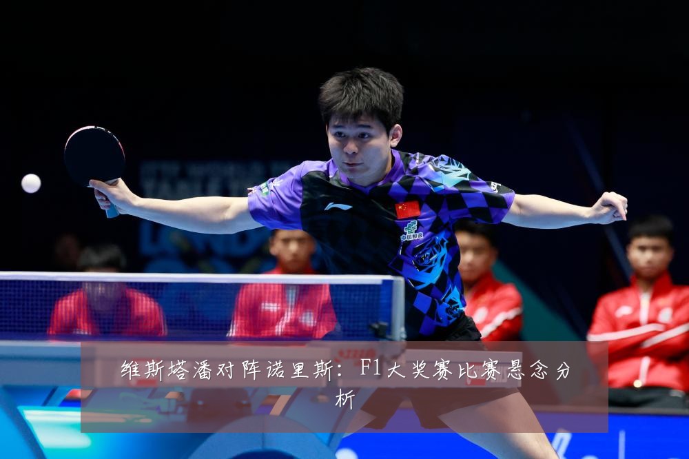 维斯塔潘对阵诺里斯：F1大奖赛比赛悬念分析