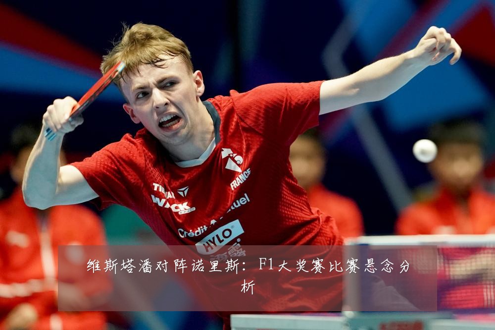 维斯塔潘对阵诺里斯：F1大奖赛比赛悬念分析